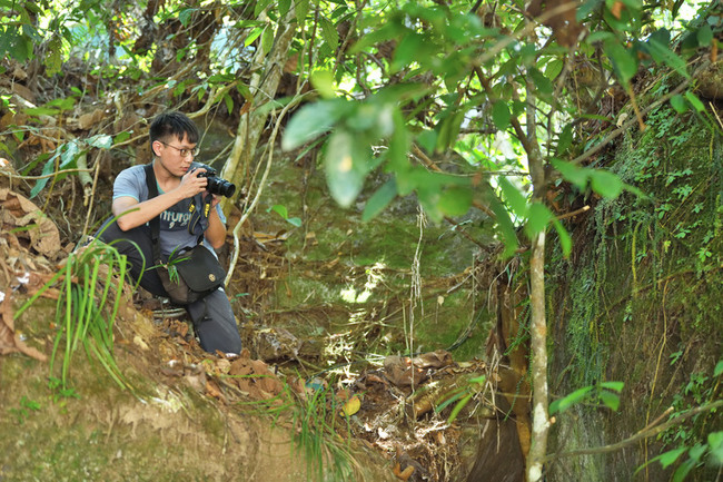 美術科班到植物分類專家  林哲緯為自然留影 | 華視新聞