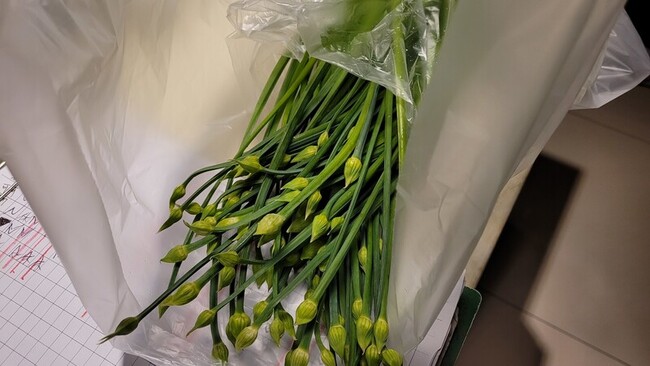 北市抽驗蔬果殘留農藥 多件韭菜花、九層塔不合格 | 華視新聞
