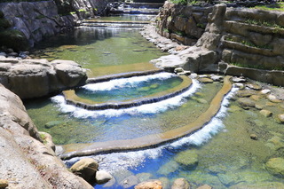 南投林業分署治理林班融合生態  獲全球建設大獎