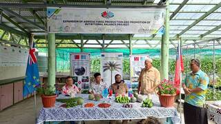 台灣與歐盟助友邦 國合會協助智慧農業落地吐瓦魯