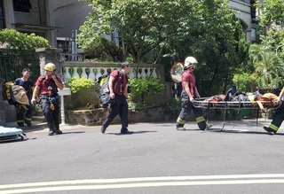 北市男工人摘蜂窩困樹上  命危送醫搶救