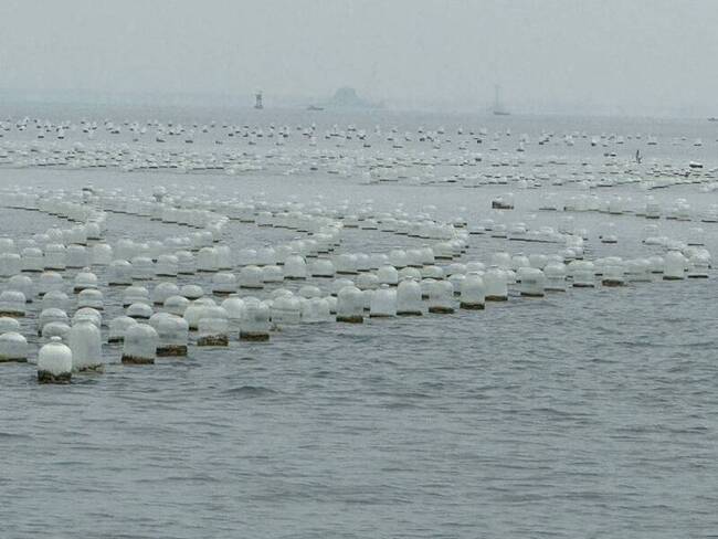 金廈海域違法蚵架 金縣府盼中央同意監管下陸方自拆 | 華視新聞