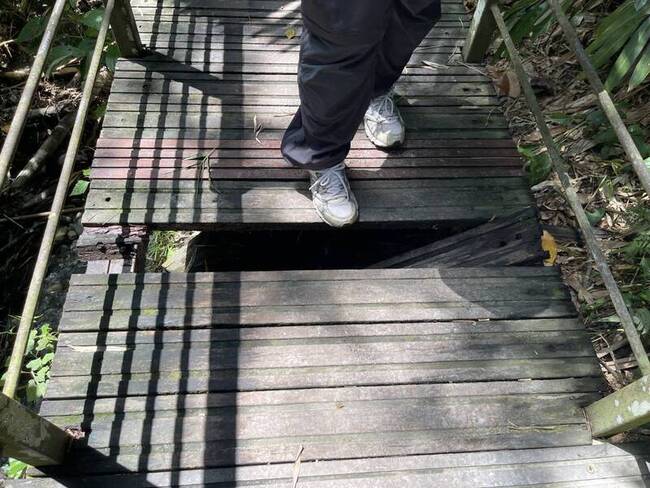 雲林龍過脈森林步道整修 6/25至9/30局部封閉 | 華視新聞