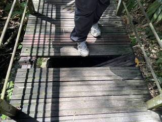 雲林龍過脈森林步道整修 6/25至9/30局部封閉