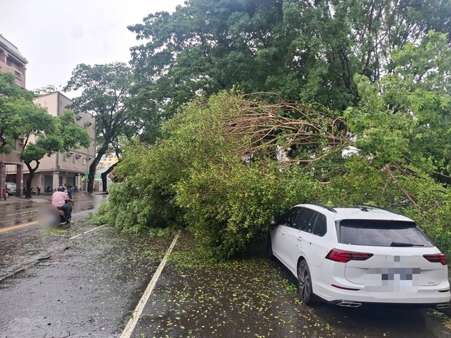 高雄楠梓風雨大 樹倒壓2車 | 華視新聞