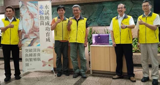 赤鯮蓄養繁殖大突破  水試所領先國際成功育苗 | 華視新聞