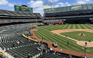 傳ICE前往球場執法 舊金山灣區球隊低調備戰