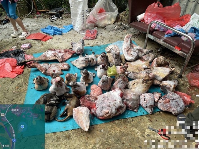 動保團體追查非法狗肉 頭份倉庫赫見大批動物肉體 | 華視新聞