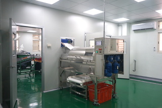 花蓮文旦柚加工廠啟用 採收期可消化650公噸