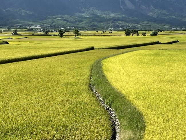 卓榮泰：觀光產業會與地方建設合一  創造新紀元 | 華視新聞