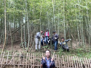 竹林具綠色資源潛力 南投林業分署協力永續經營