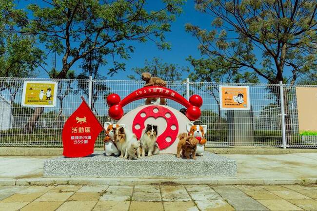 高市橋頭寵物活動區啟用  毛孩專屬舒適空間 | 華視新聞