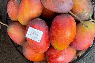 台南芒果產季到 市府推安心標章避免消費爭議