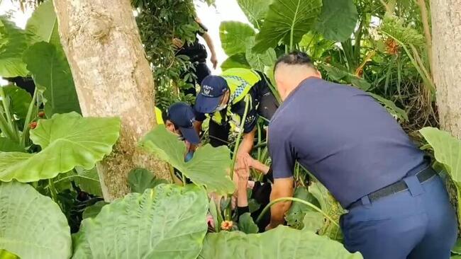 嘉義警八掌溪畔尋獲失蹤9旬婦  滿身擦傷送醫脫險 | 華視新聞