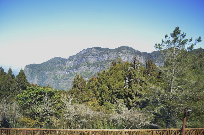 搭台灣好行遊阿里山  可抽台北東京雙人來回機票 | 華視新聞