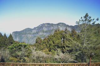 搭台灣好行遊阿里山  可抽台北東京雙人來回機票