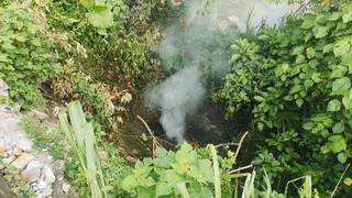 台中太平區路旁邊坡起火發現遺體 檢警釐清死因