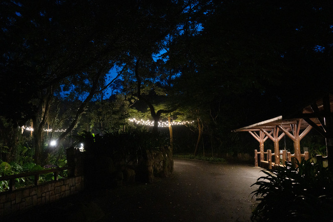 北市立動物園迎暑假 8個週六開園至晚上9時 | 華視新聞