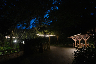 北市立動物園迎暑假 8個週六開園至晚上9時