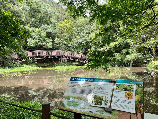 慶祝奧萬大7/1生日  限時6天門票10元 | 華視新聞