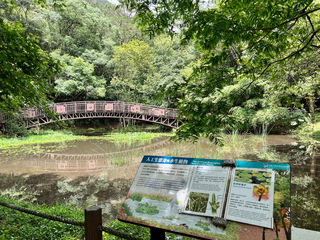 慶祝奧萬大7/1生日  限時6天門票10元