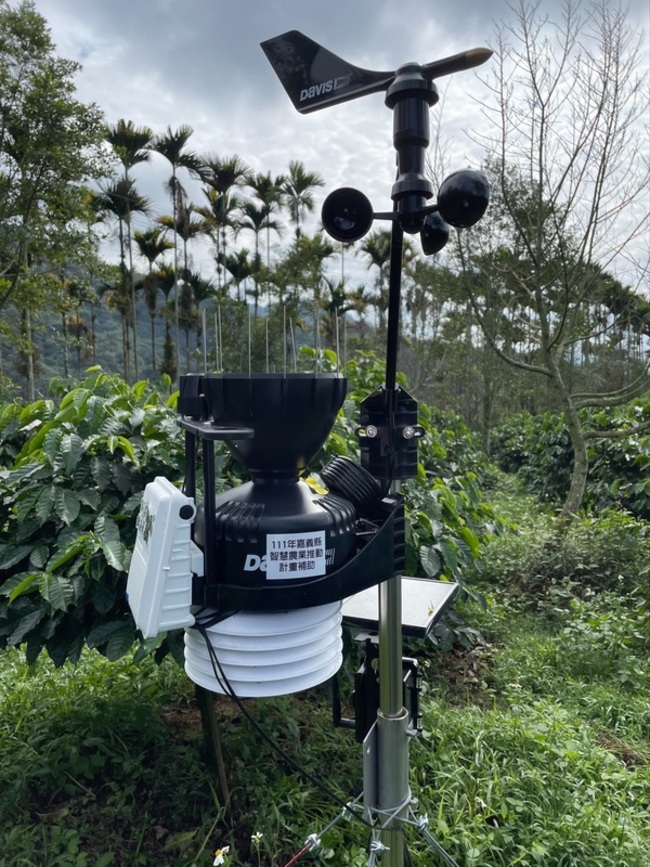 智慧化設備助田間管理 阿里山農民接連種出得獎咖啡 | 華視新聞