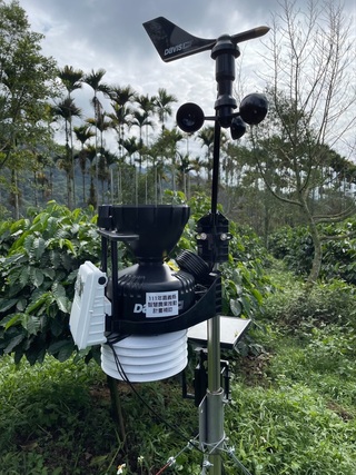 智慧化設備助田間管理 阿里山農民接連種出得獎咖啡