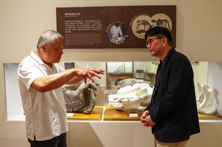 重溫半世紀前轟動展覽 犀牛化石台博館展出