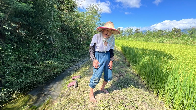 91歲羅茂祥風雨無阻下田耕作（2）