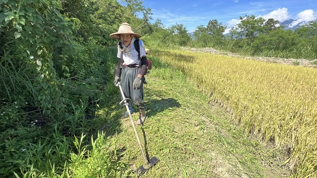 從牛耕到機具  91歲羅茂祥堅持下田獨鍾「醜美人」 | 華視新聞