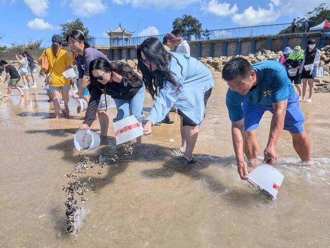 金門金湖花蛤季  放流40萬蛤苗盼海域生物永續 | 華視新聞