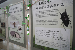 中興大學昆蟲展開幕 從古詩畫觀察小生物