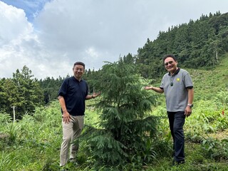 林保署推山林共管  成功開創南庄賽夏部落生計
