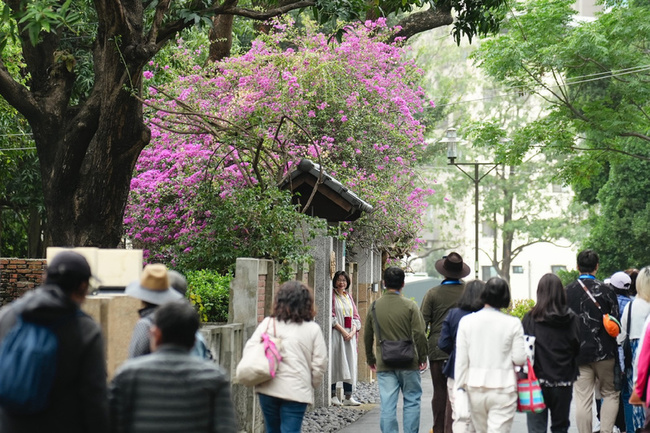 台南321巷藝術聚落  7/1起平日下午開放戶外區 | 華視新聞