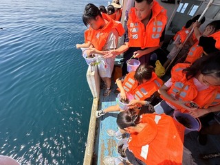 澎湖區漁會親子放流3千顆海膽 海洋保育向下扎根