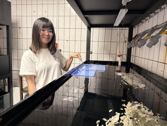 清大實驗室徵工讀  「餵烏賊、照顧花枝房」引議 | 華視新聞