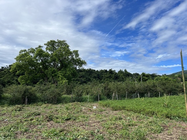 台東縣府自辦耕地放領  65年前已租縣地還給農民 | 華視新聞