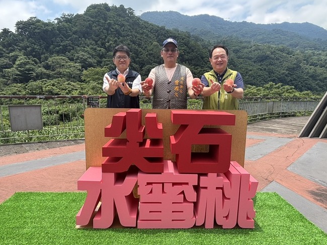 推尖石部落農產 公所攜手郵局行銷水蜜桃拓展通路 | 華視新聞