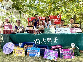 彰化大村葡萄攜手茶飲、燒肉店 為農民尋找新出路