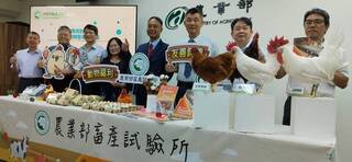 蛋雞場升級衛生環境 跑跳空間助產蛋率增逾1成