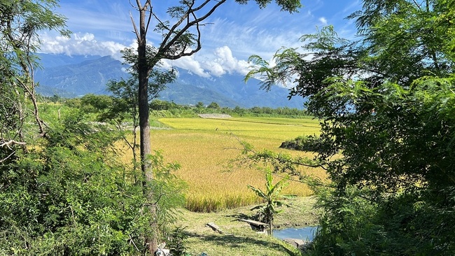 颱風丹娜絲恐生成  台東農改場籲做好防颱 | 華視新聞