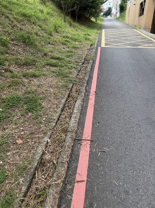 水溝滿雜草枯葉挨批  竹市：現勘釐清後清掃