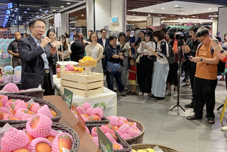 颱風丹娜絲逼近 黃偉哲大馬行銷芒果後立刻返台
