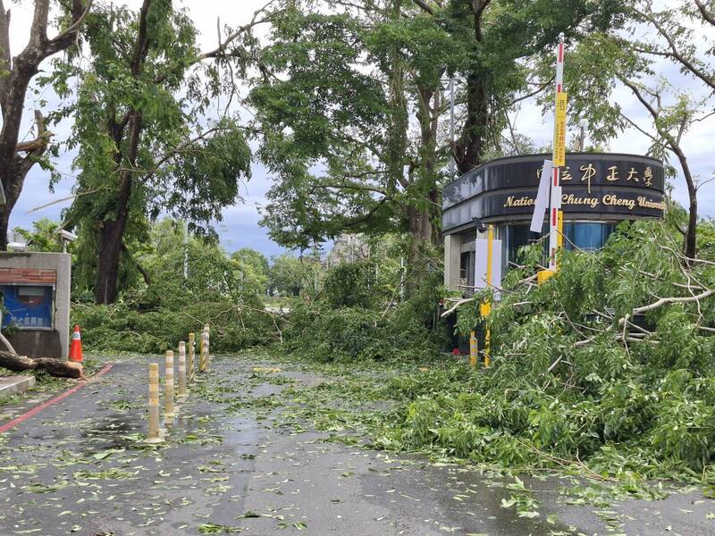 颱風丹娜絲肆虐  中正大學入口被倒伏樹木阻擋