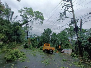 颱風丹娜絲襲台 南投大量樹倒壓損線路1.7萬戶停電