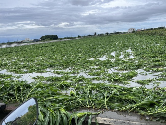 颱風丹娜絲肆虐 雲林最強陣風17級一度8.2萬戶停電 | 華視新聞