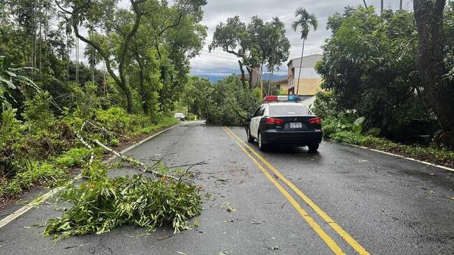 颱風丹娜絲掃過 南投多處樹倒阻路、投89線坍方 | 華視新聞