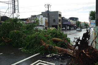 丹娜絲肆虐台南 黃偉哲：估晚間全復電盡速恢復市容