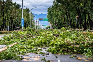 丹娜絲過後嘉市街景瘡痍 高雄桃園等縣市伸援復原