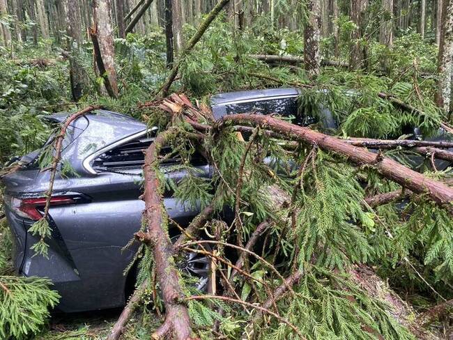 溪頭環境待整理缺水電8日仍休園 清境農場恢復營業 | 華視新聞